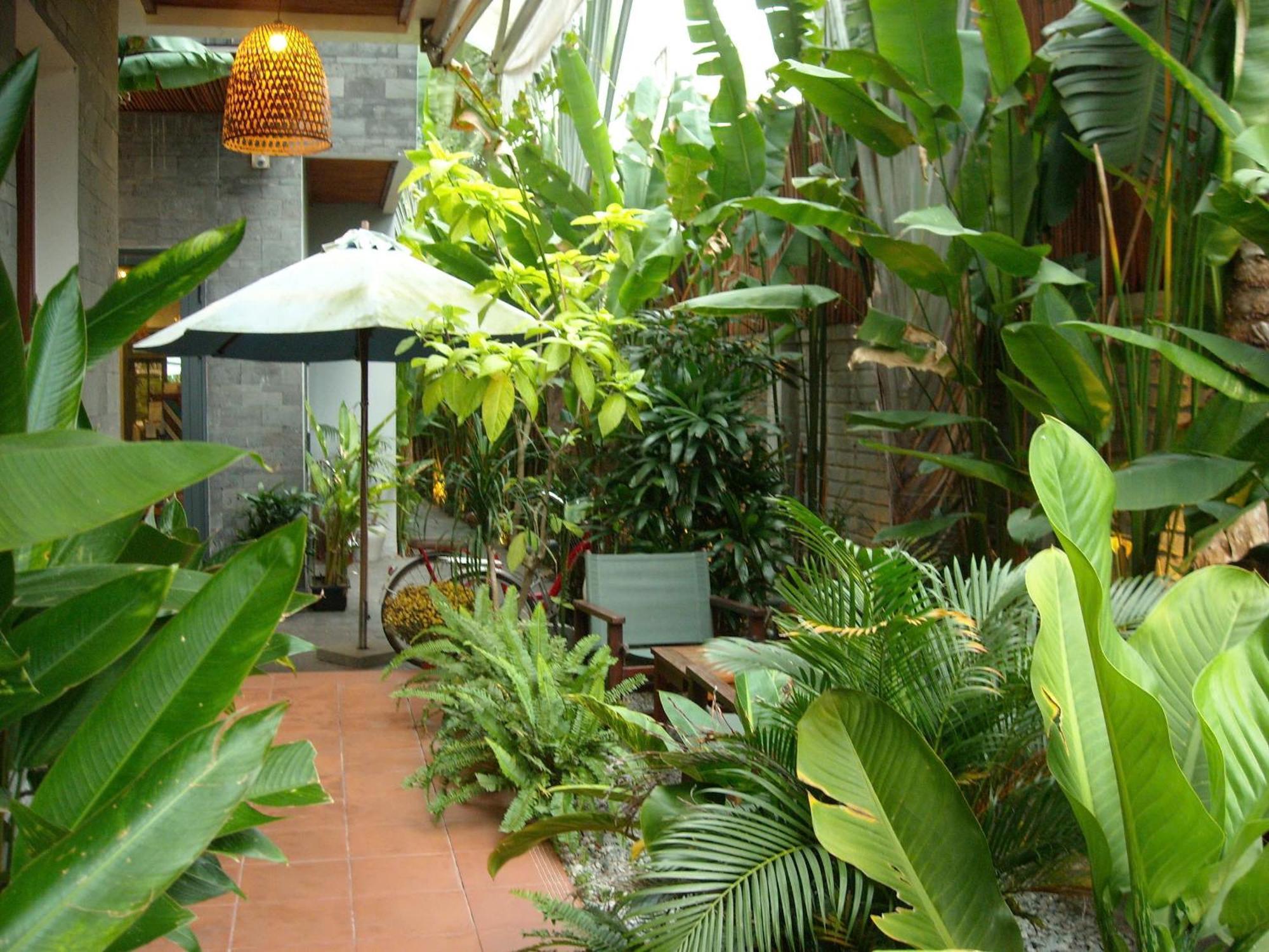 Tropical * Hoi An
