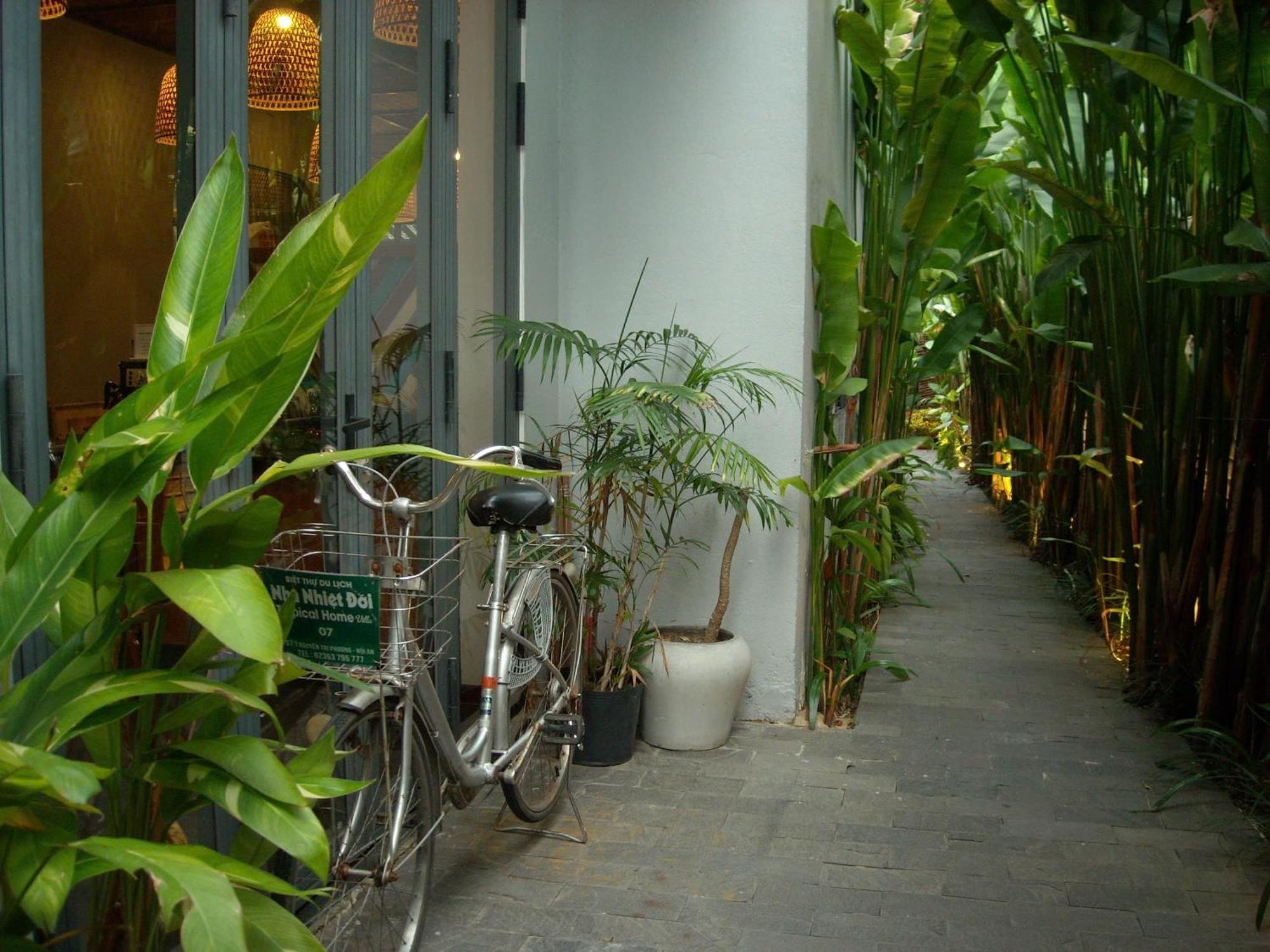 Tropical